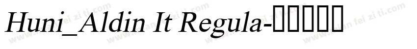 Huni_Aldin It Regula字体转换